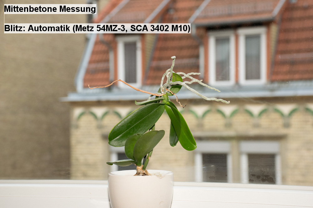 05   Mittenbetone Messung   Blitz  Automatik (Metz 54MZ 3, SCA 3402 M10)