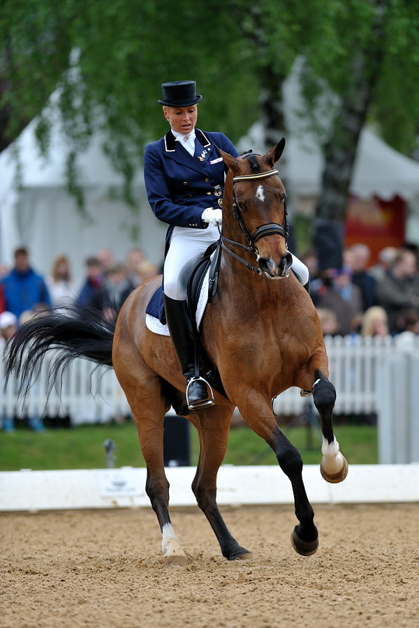 06 pferd internatio