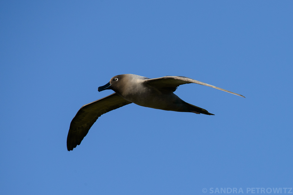060 DSC6310