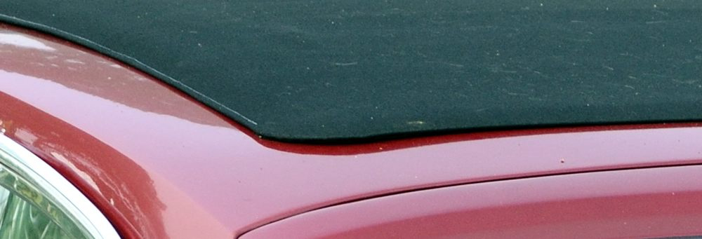 0638_229.JPG