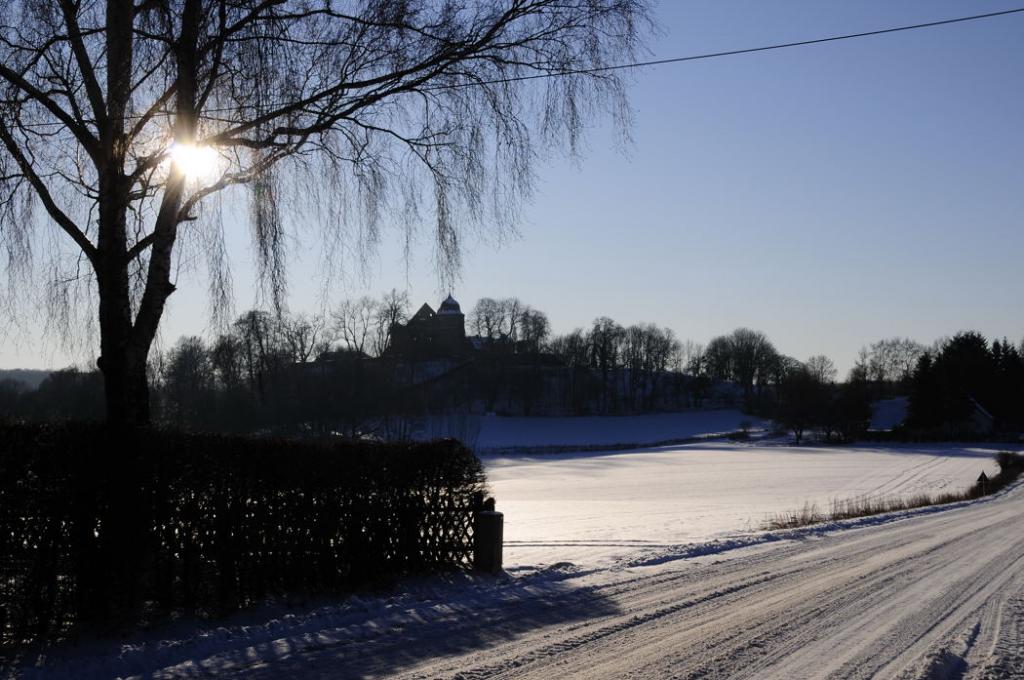 064 Sababurg Winter 2008