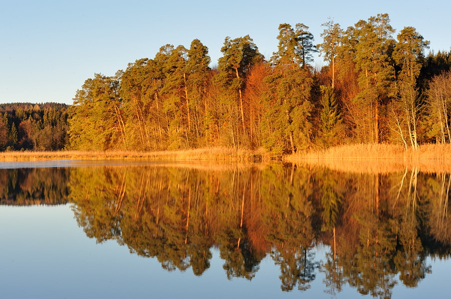 07 20091226 083447 ostersee