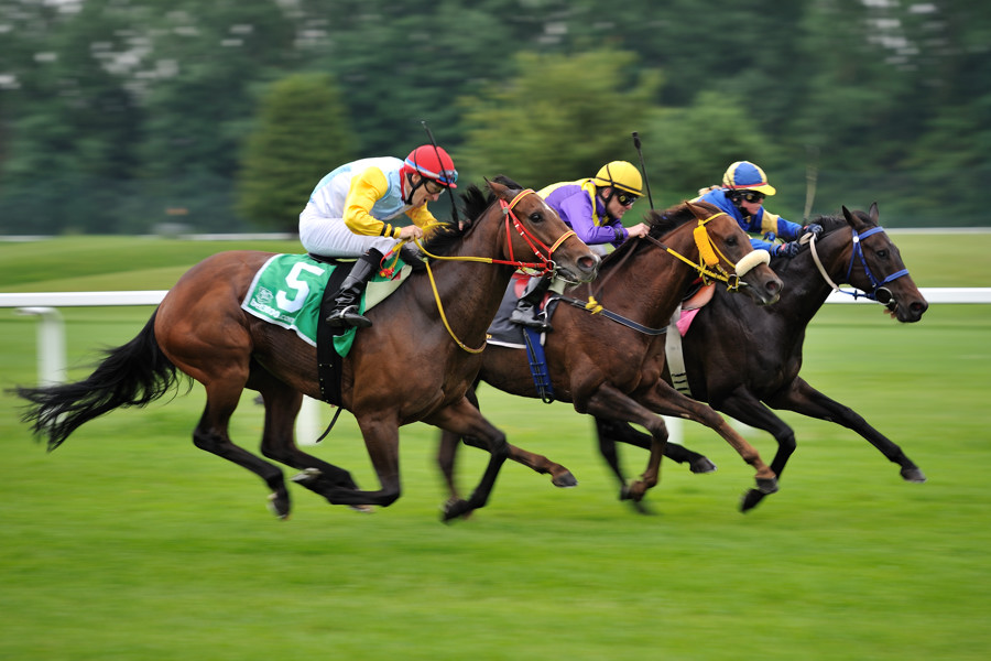 07 20100613 160905 galopp muenchen