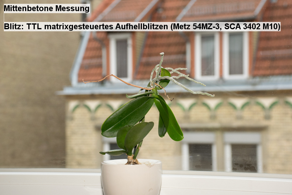 07   Mittenbetone Messung   Blitz  TTL matrixgesteuertes Aufhellblitzen (Metz 54MZ 3, SCA 3402 M10)