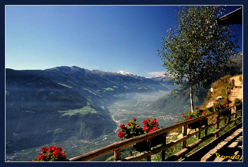 0803 Blick in den Vinschgau