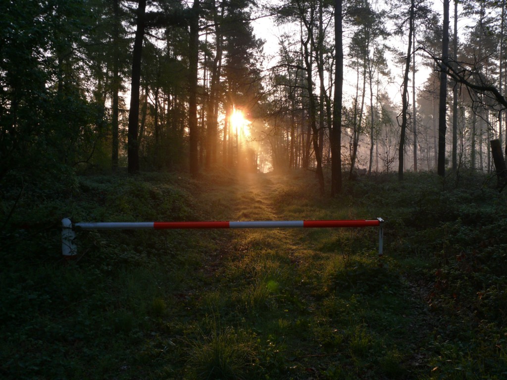 080430 Sonnenaufgang 009 1