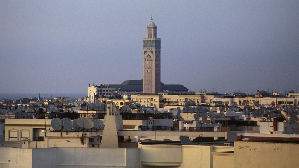 080805D23 kb