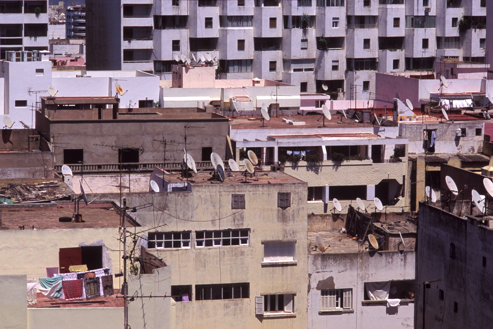 080805D36 kb
