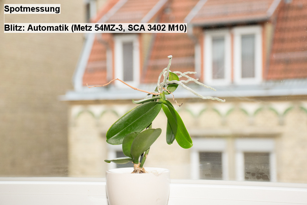 09   Spotmessung   Blitz  Automatik (Metz 54MZ 3, SCA 3402 M10)