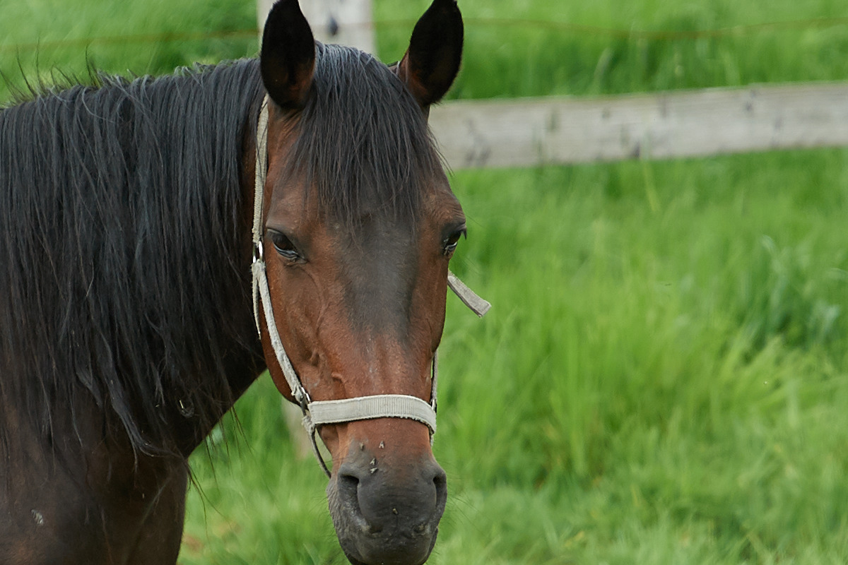090517DSC 6878 1