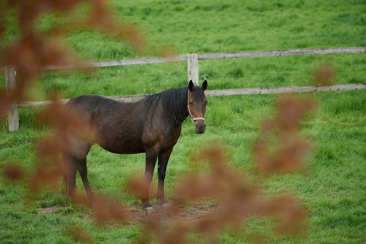 090517DSC 6878