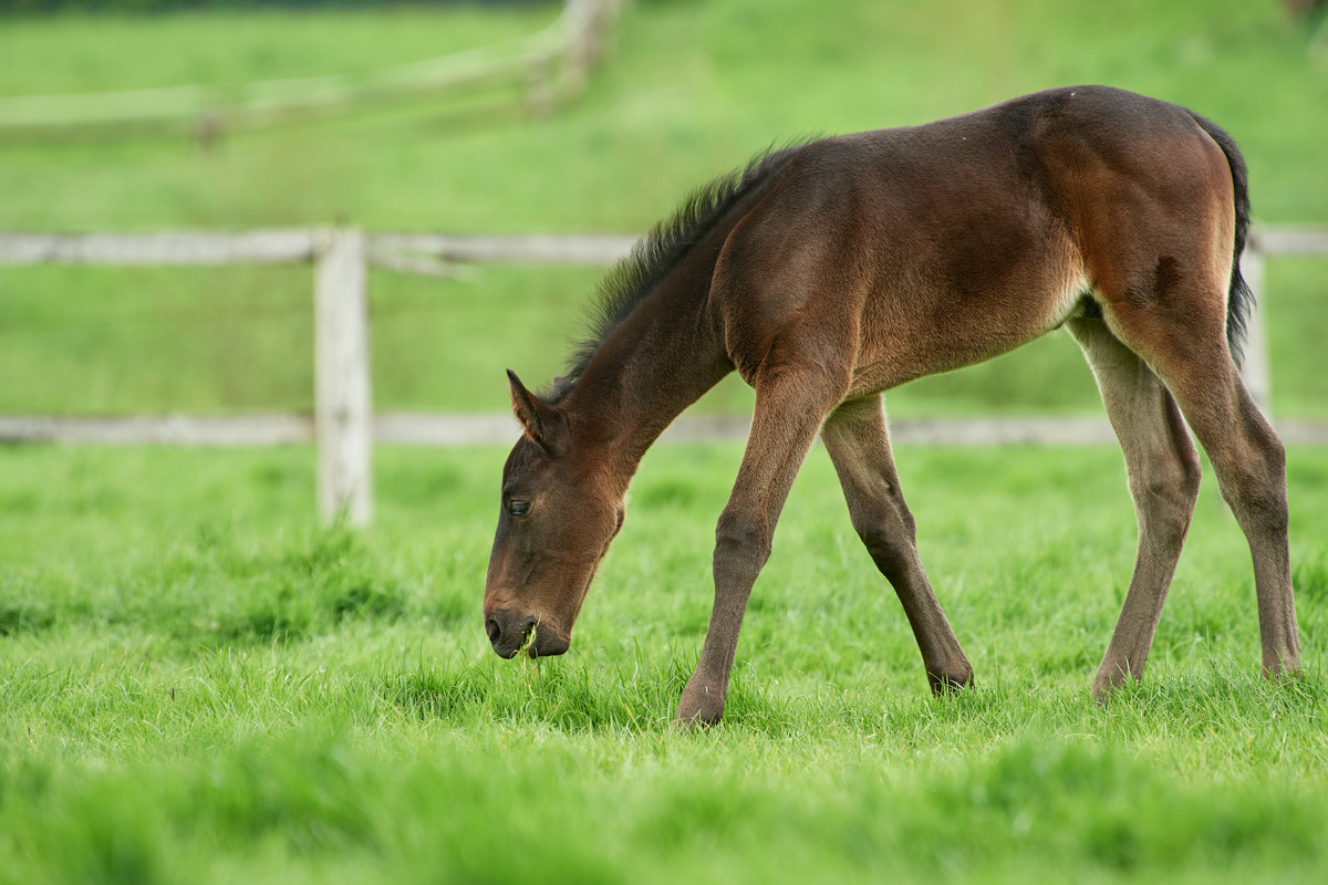 090517DSC 6965