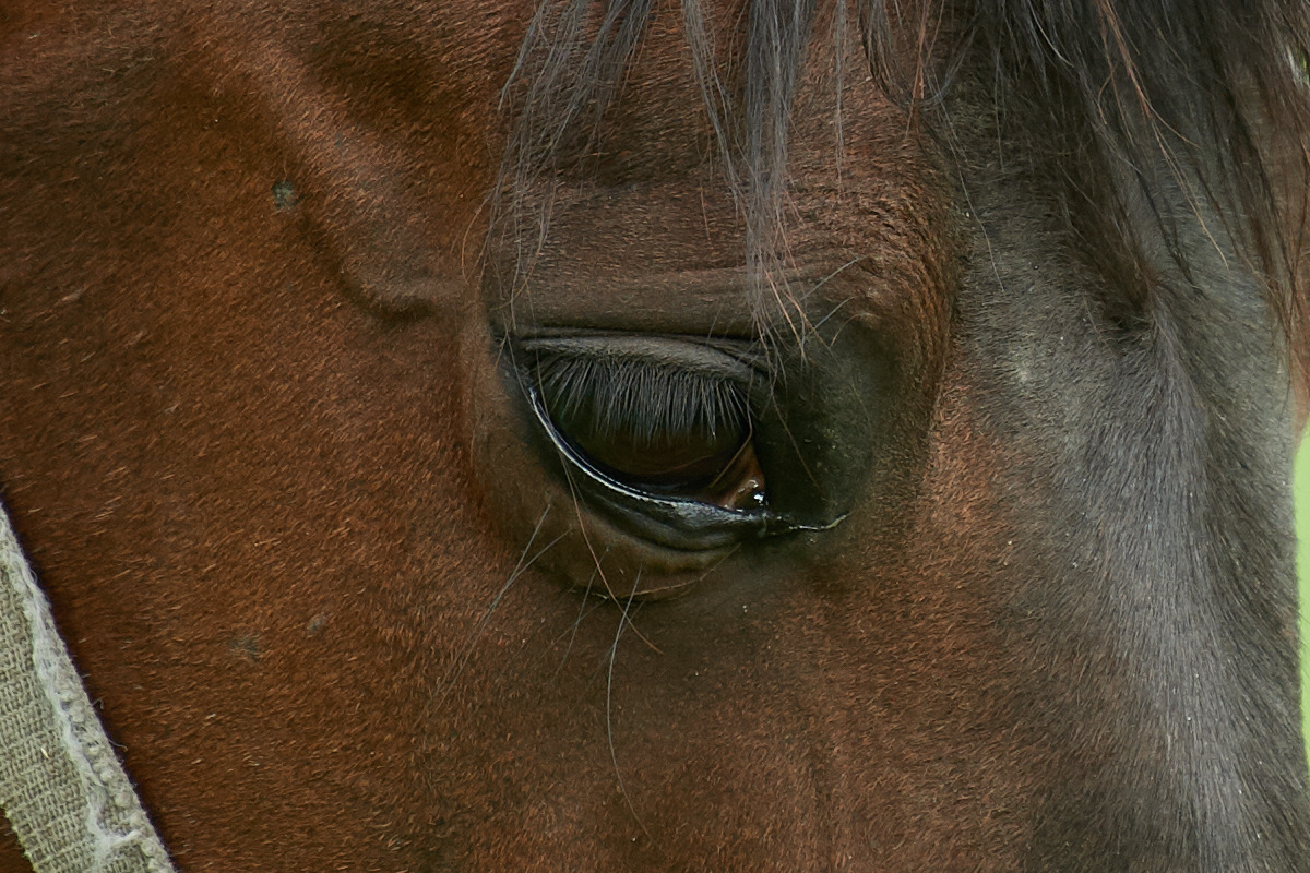 090517DSC 6977 1