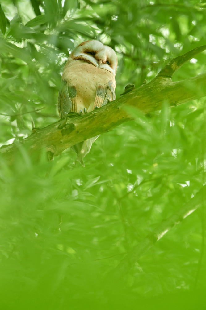 090717DSC 7432