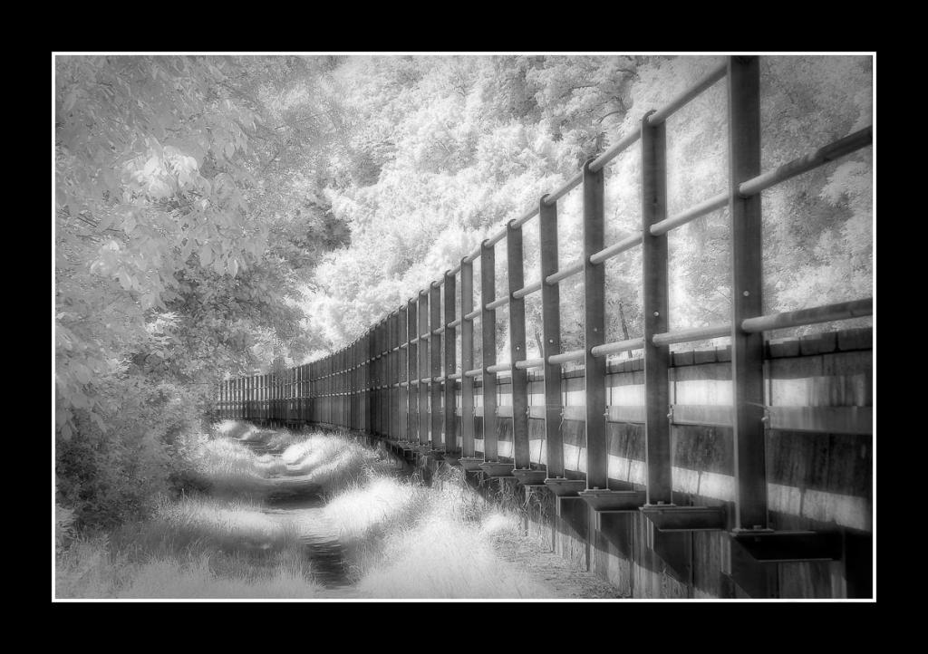 090721 140429 IR