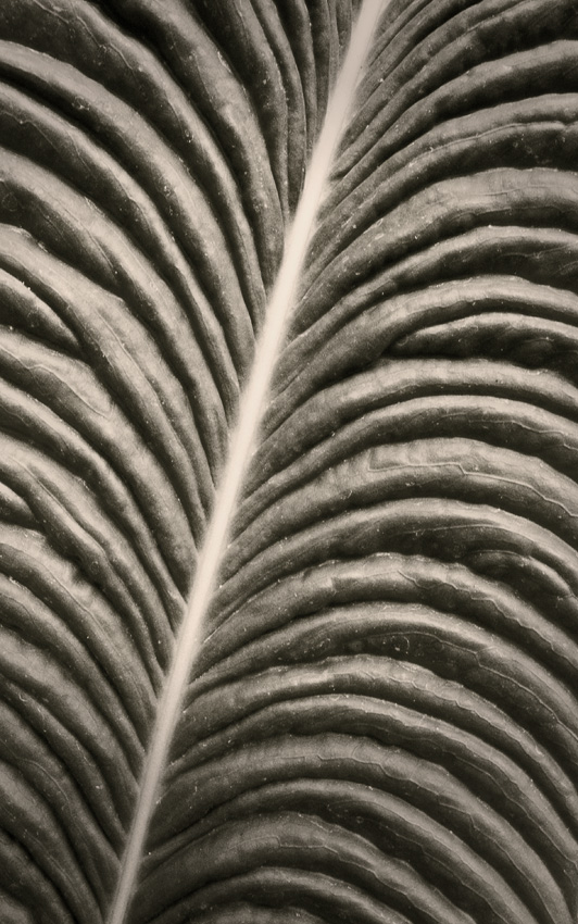 090827 122904