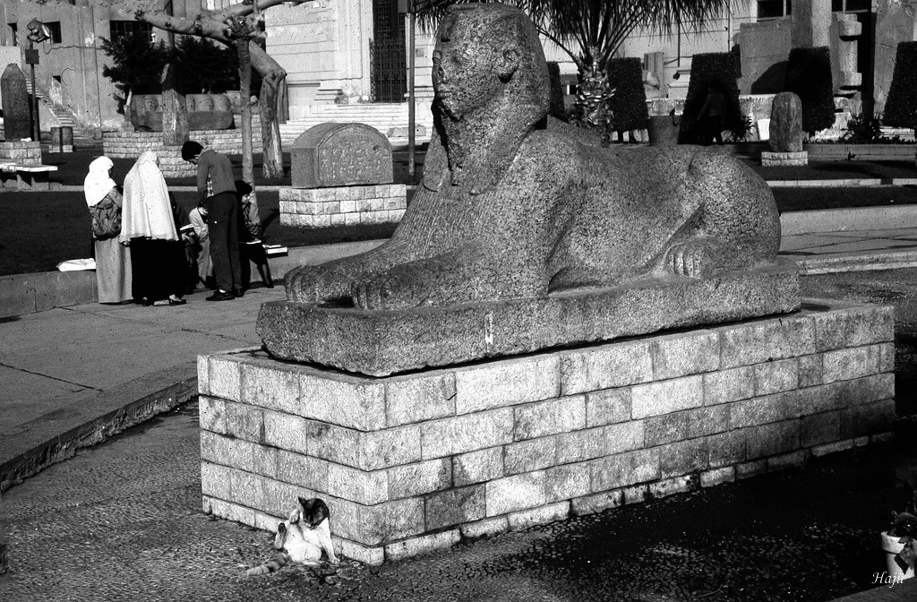 0comp0Ägypten neu 006 023 sw