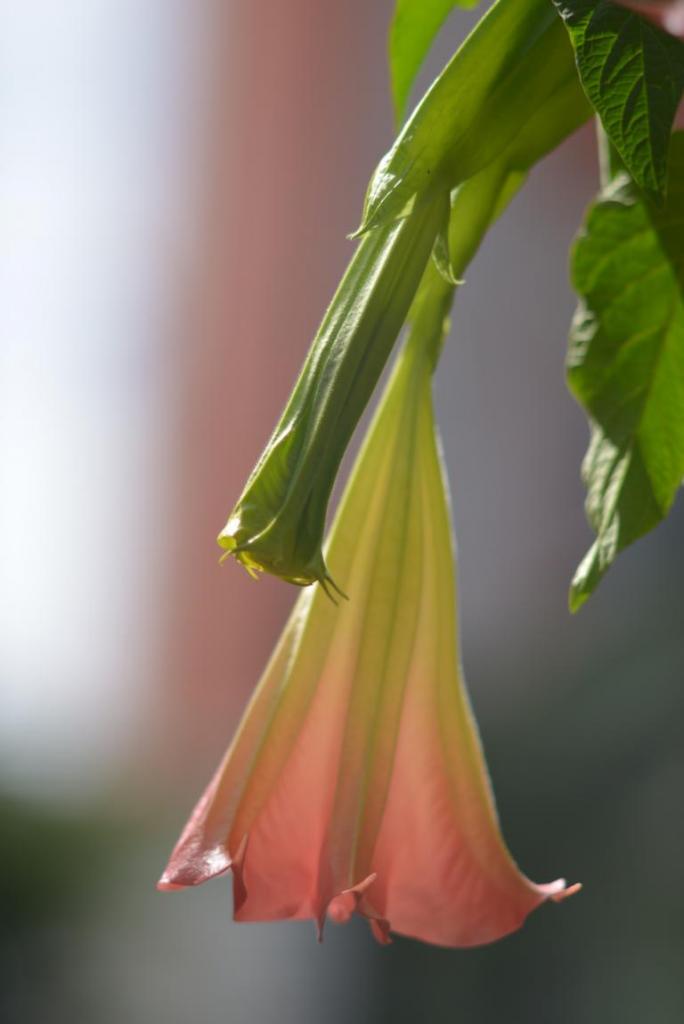 1/2500sec ISO 250  Freihand unbearbeitet