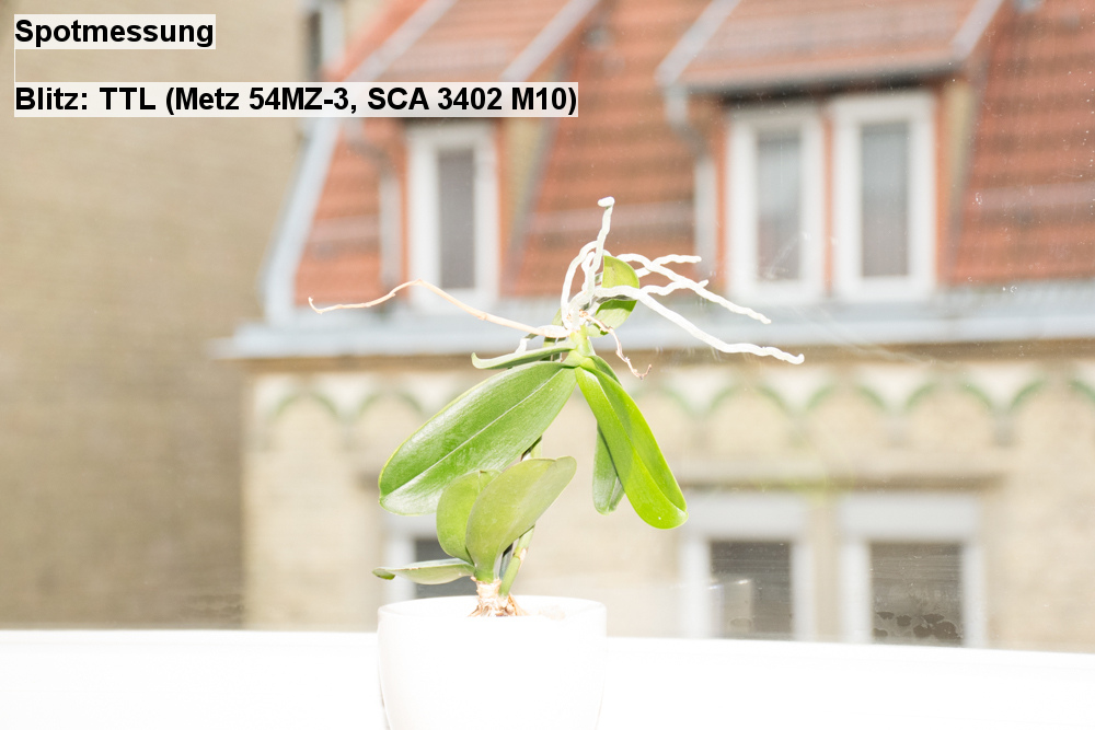 10   Spotmessung   Blitz  TTL (Metz 54MZ 3, SCA 3402 M10)