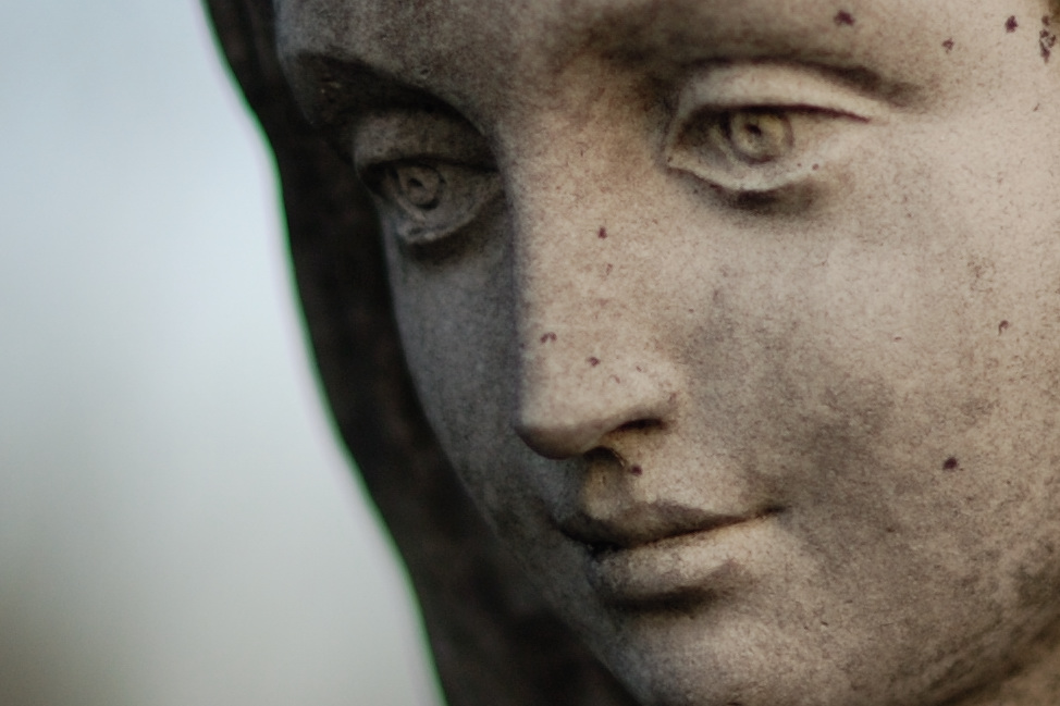 100% Crop AF-S 50mm 1.4G
DSC2168