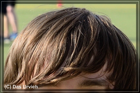 100 Crop nachher