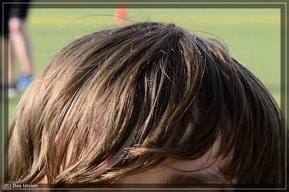 100 Crop vorher