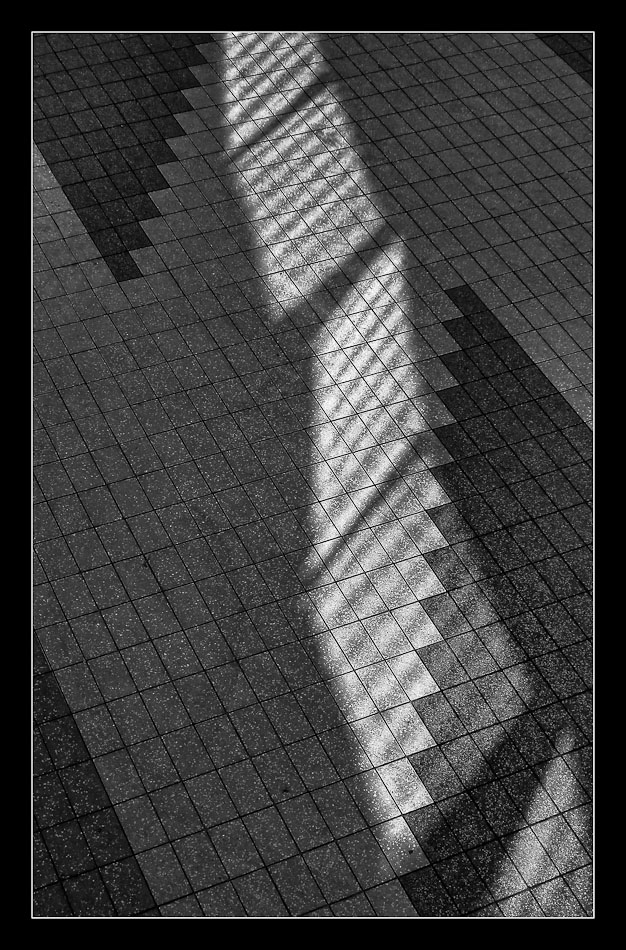 100920 094614 bw