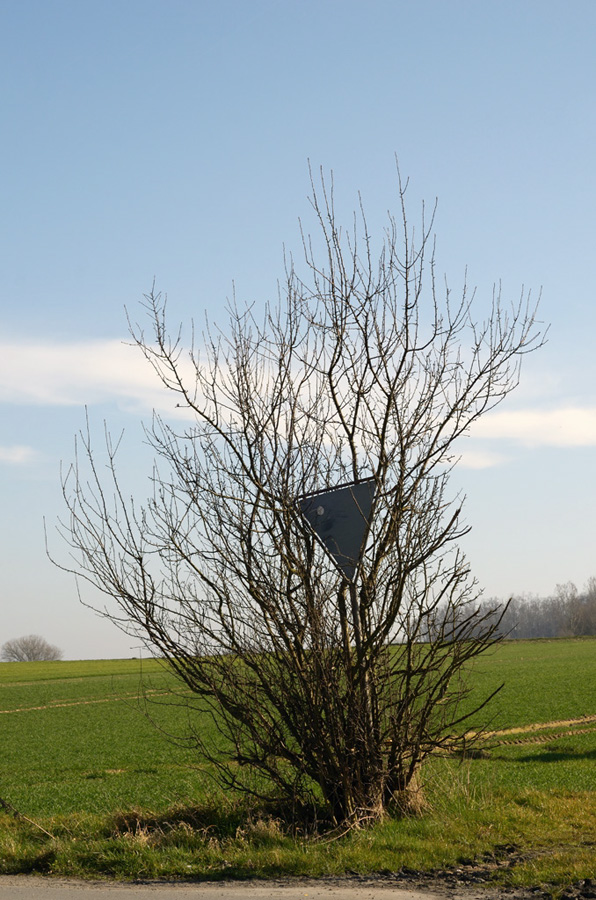 100schilderb