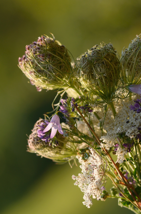 101900blumen
