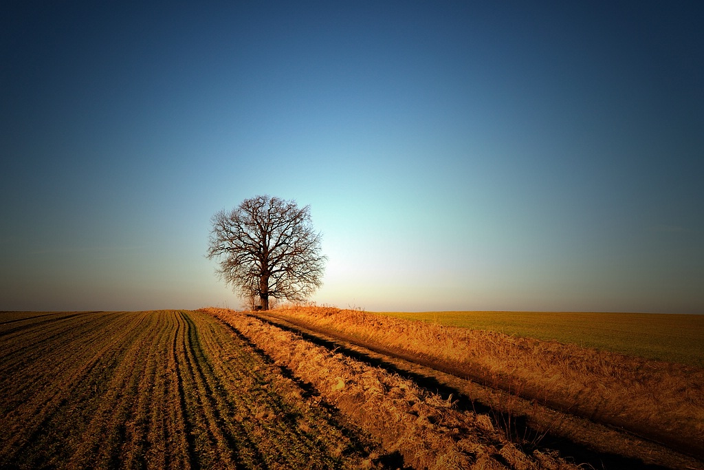 [1024x1024]DSC 9699 02 s
