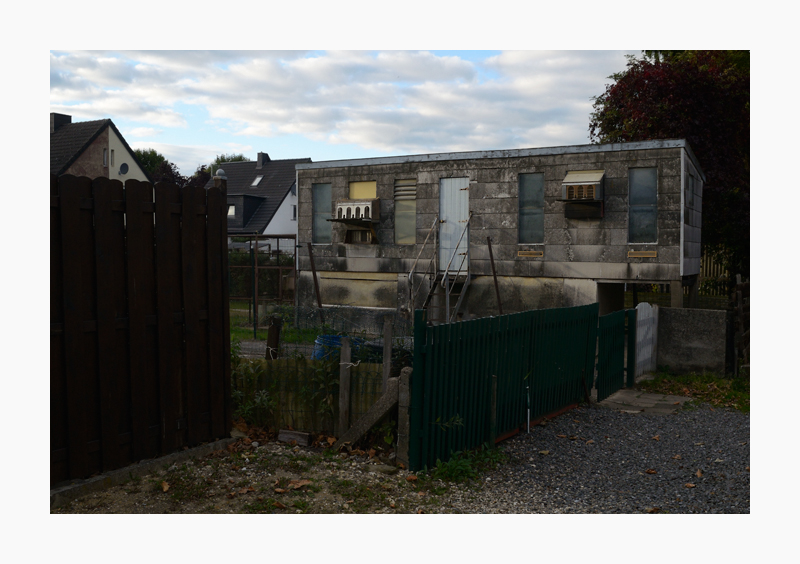 105700r041015zaunvariantentaubenhaus