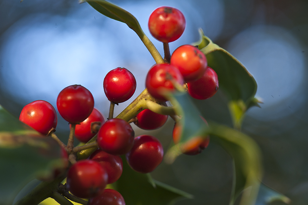 105er Herbst im Grenzbereich 2