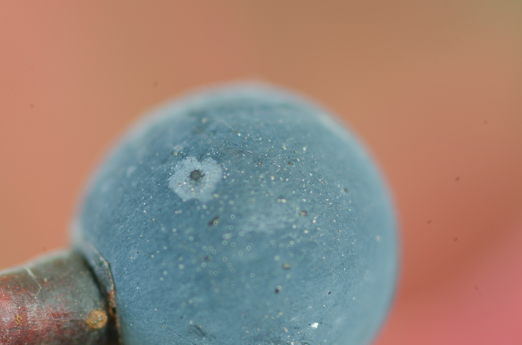 105mm; 2xTK