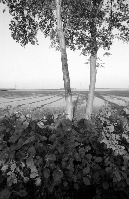 10800f7kodaktmax100wenndieschattensichlängen