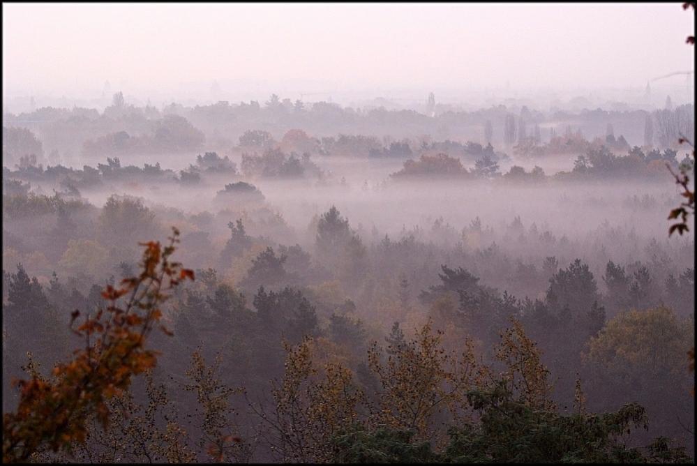 11 10 29Teufelsberg morgens 026