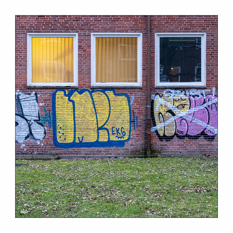 11/365