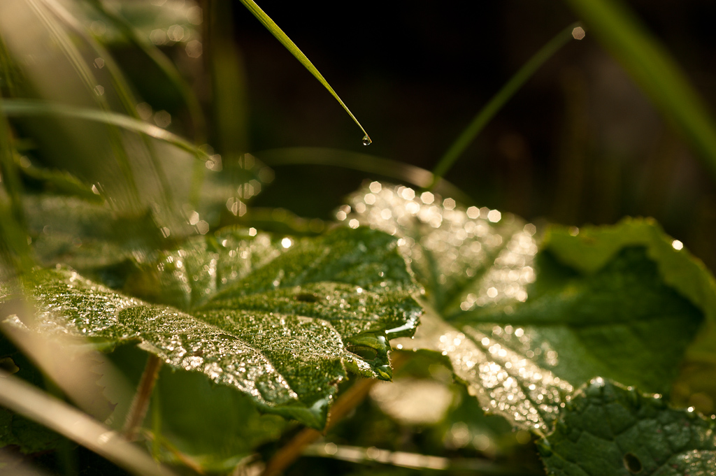 11 Spiel der Wassertropfen