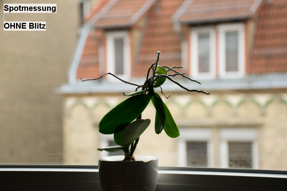 11   Spotmessung   OHNE Blitz
