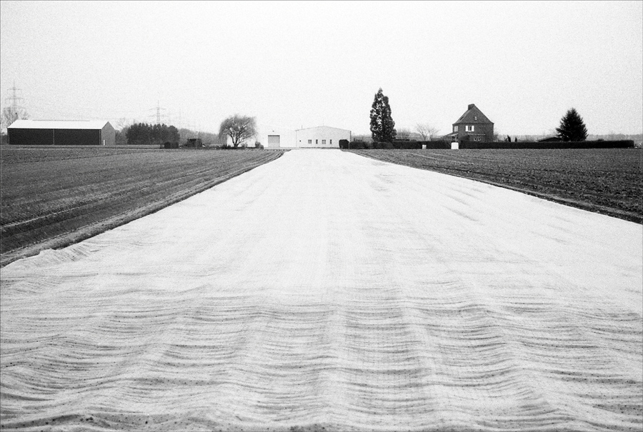 11900f72015agfaapx400rmk