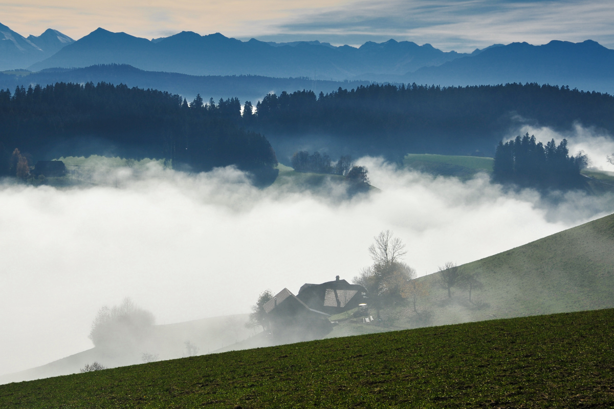 11F 8953 Bearbeitet