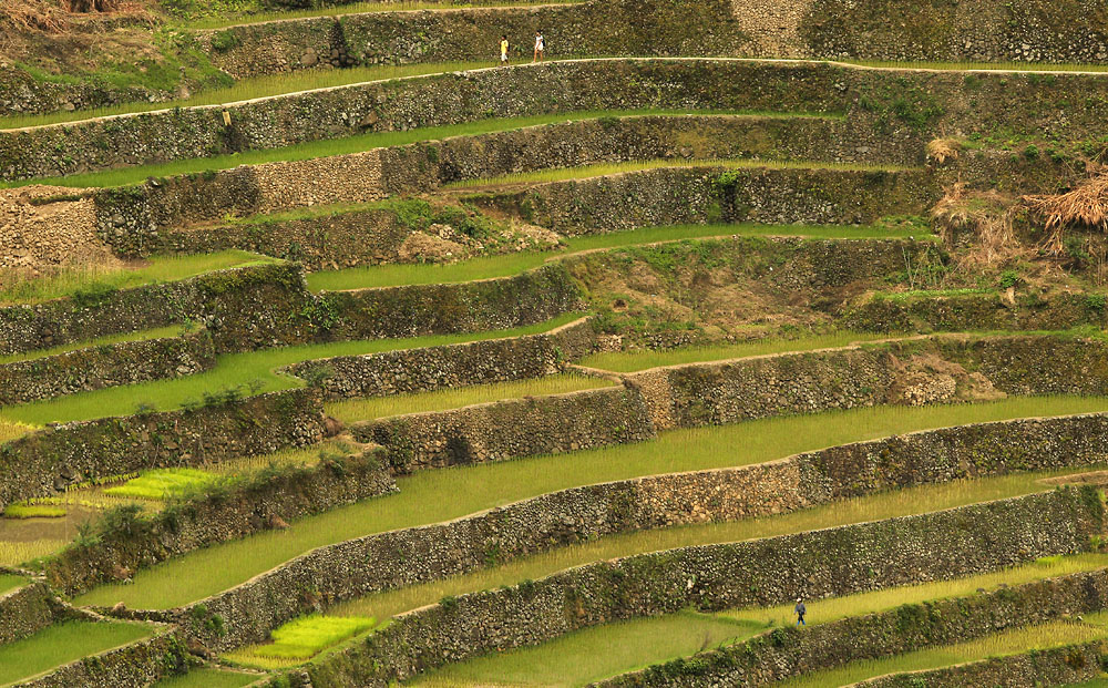 12 04 07Batad000008