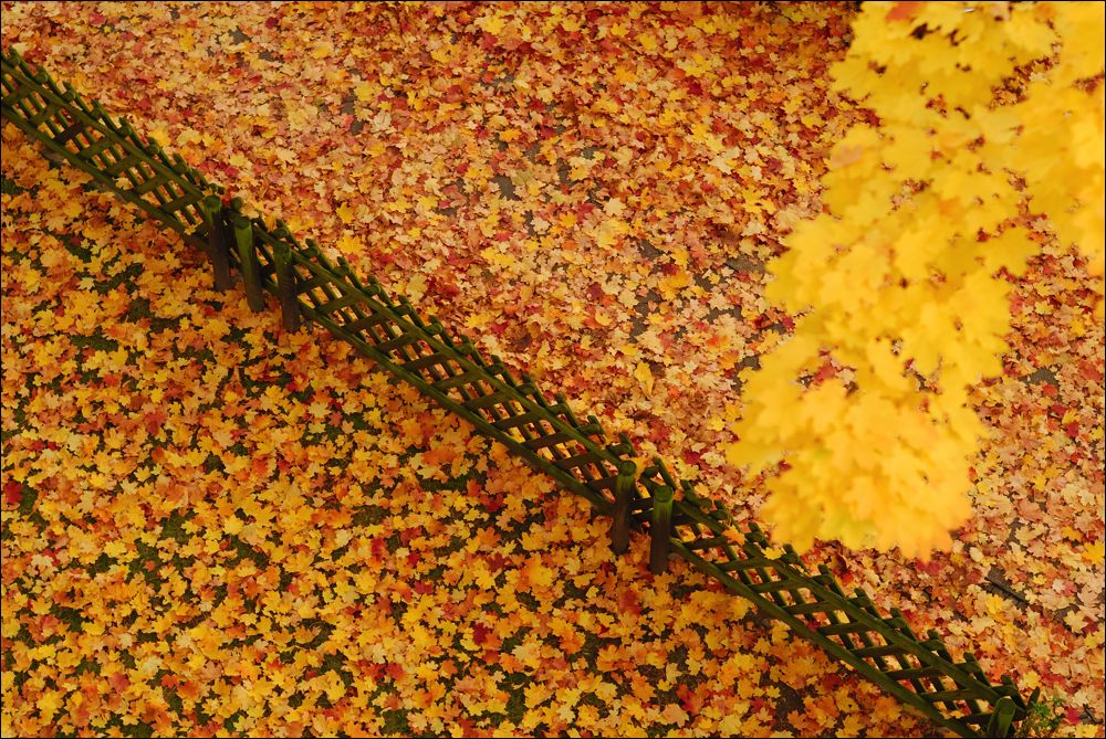 12 10 20Friedenaul Herbst 002