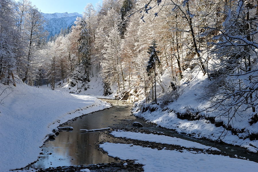 12 20100114 121120 partnachklamm