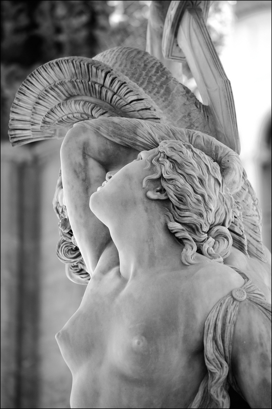 12 Loggia dei Lanzi