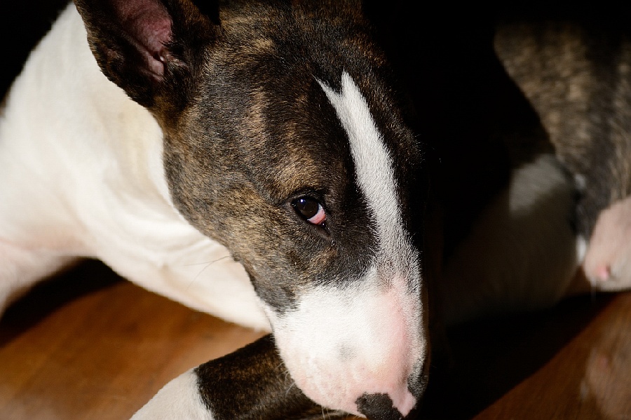 120212 Lise 006 A