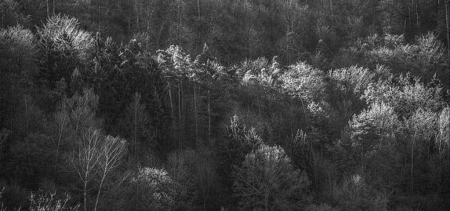 120401-HDR SW A