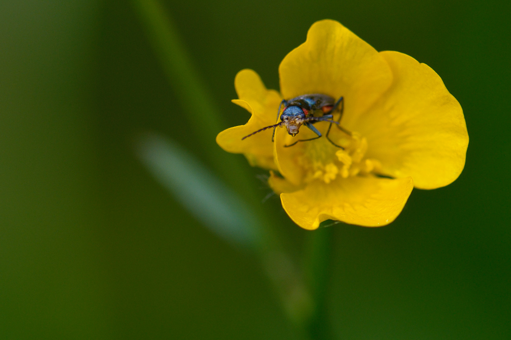120512 unbenannt 266