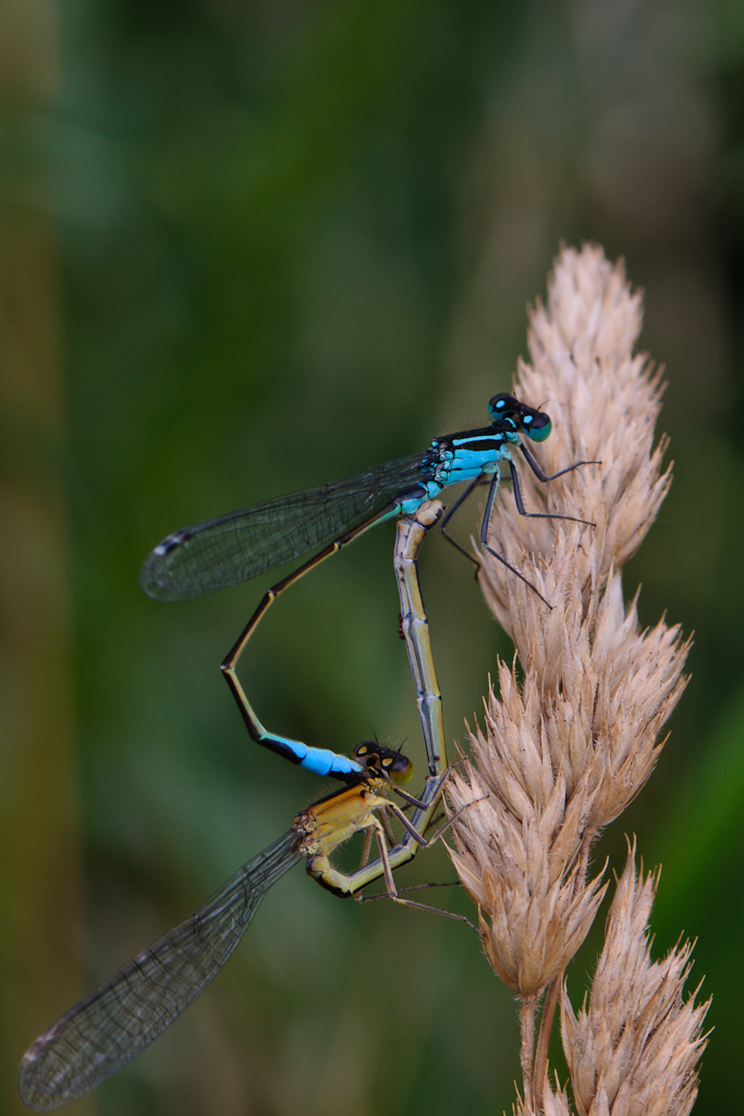 120710 unbenannt 011
