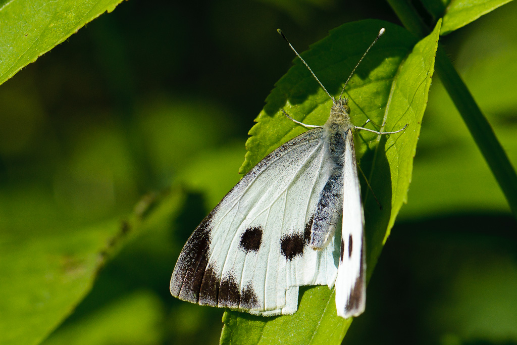 120722 unbenannt 048