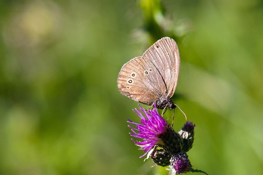 120722 unbenannt 064